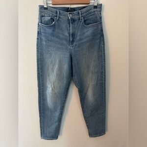 Banana Republic Baggy Straight Jean